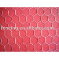 Hexagonal Wrie Mesh